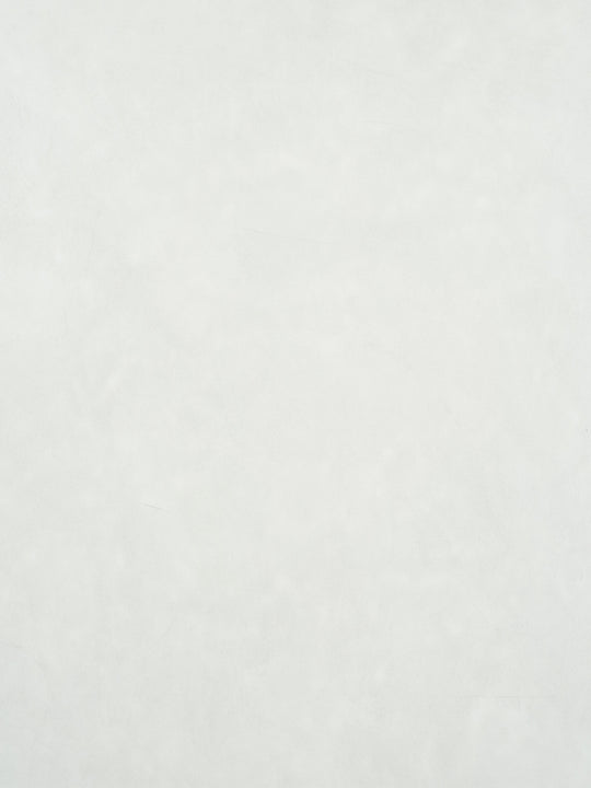 S001