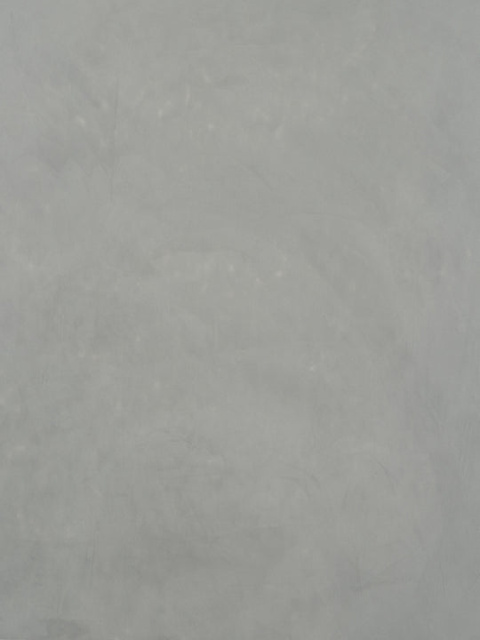 S003