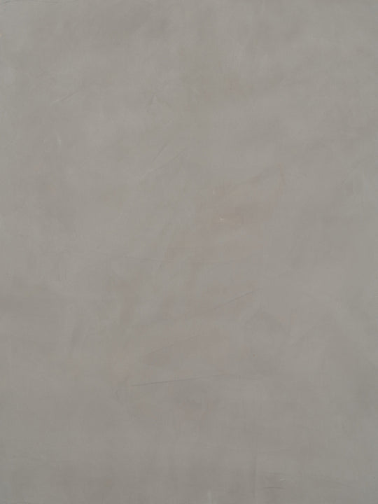 S008