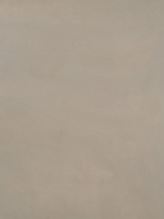 S011