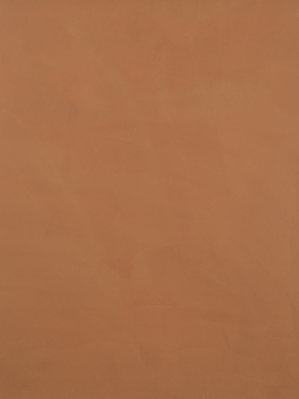 S013