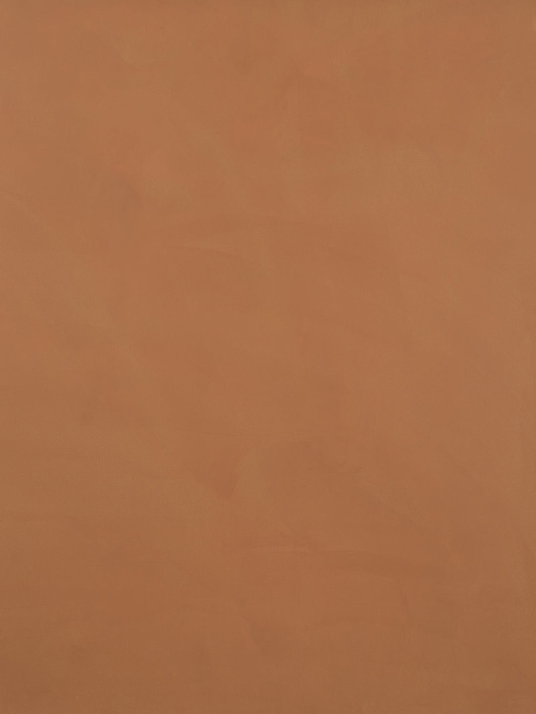 S013