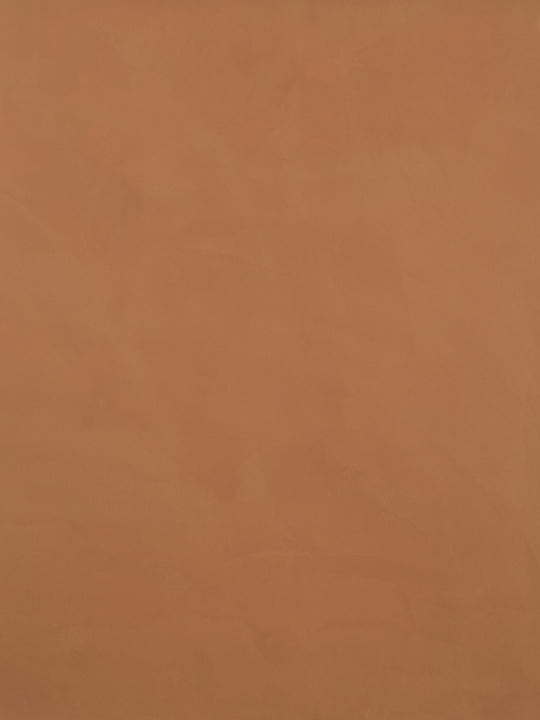 S013