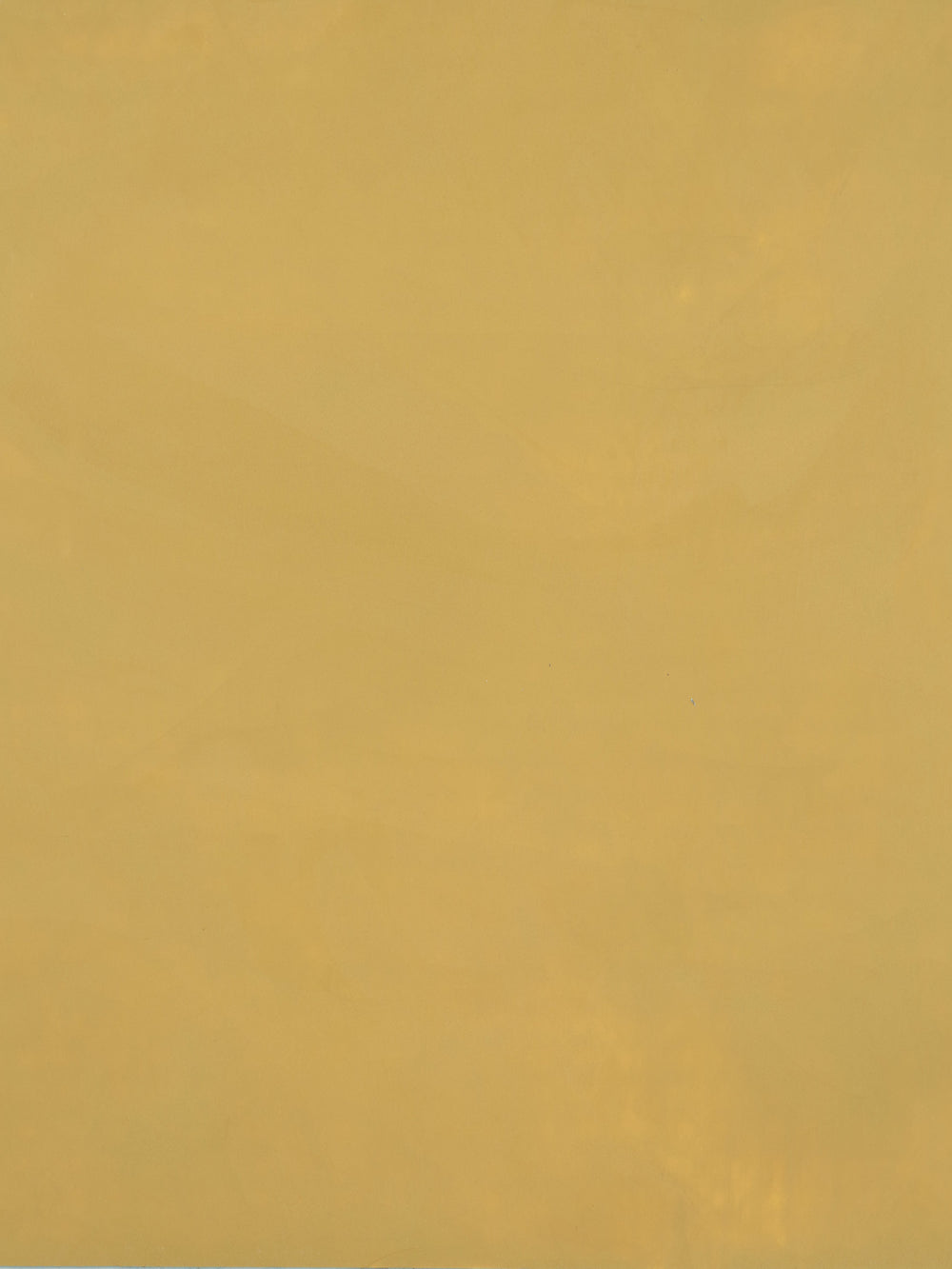 S029