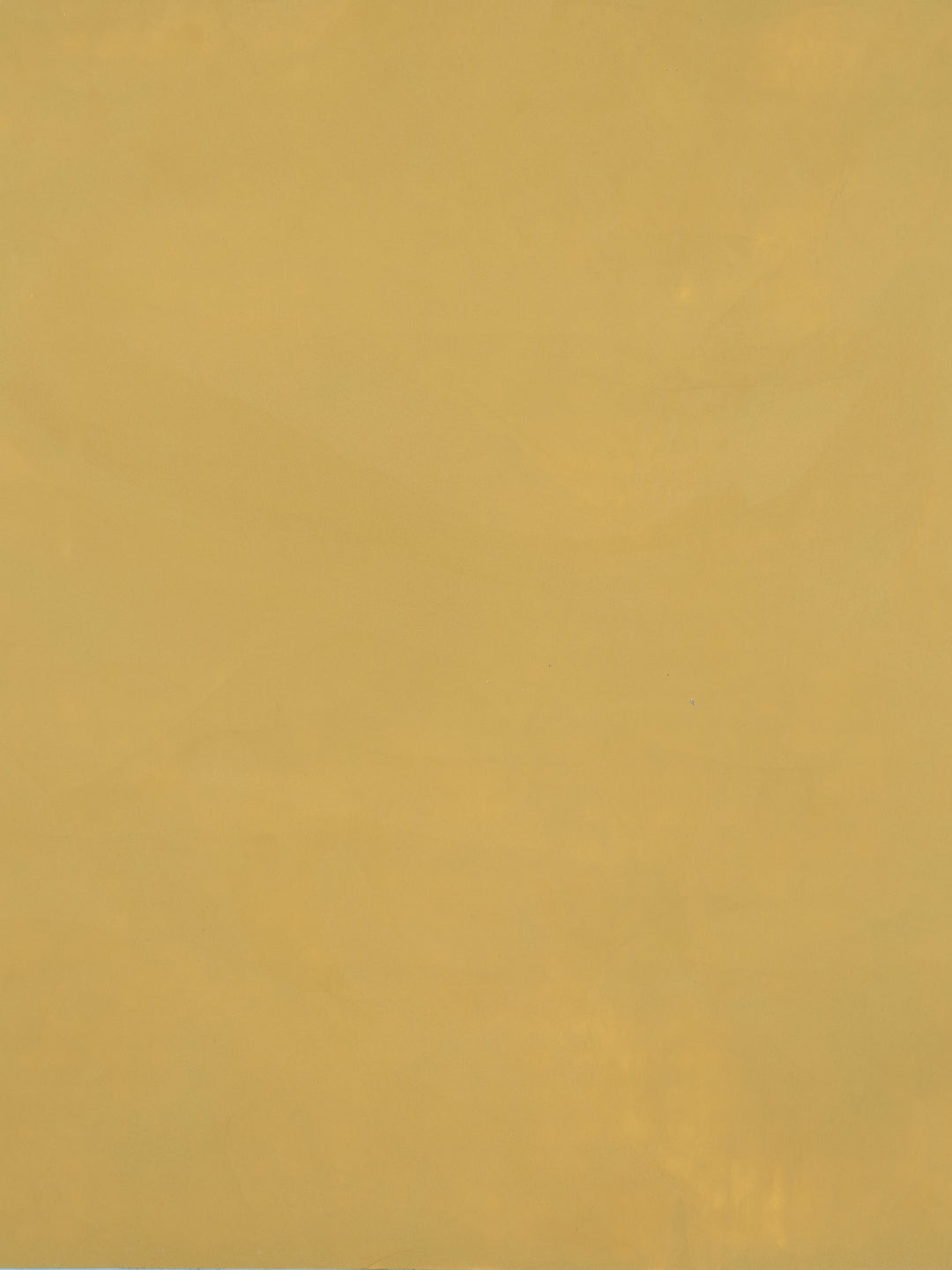 S029