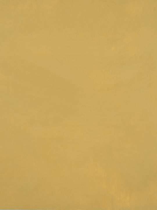 S029