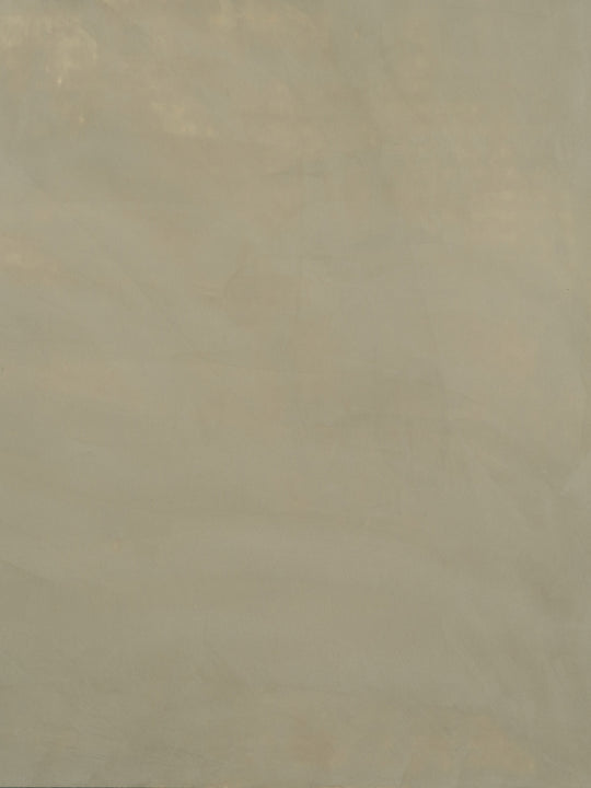 S031
