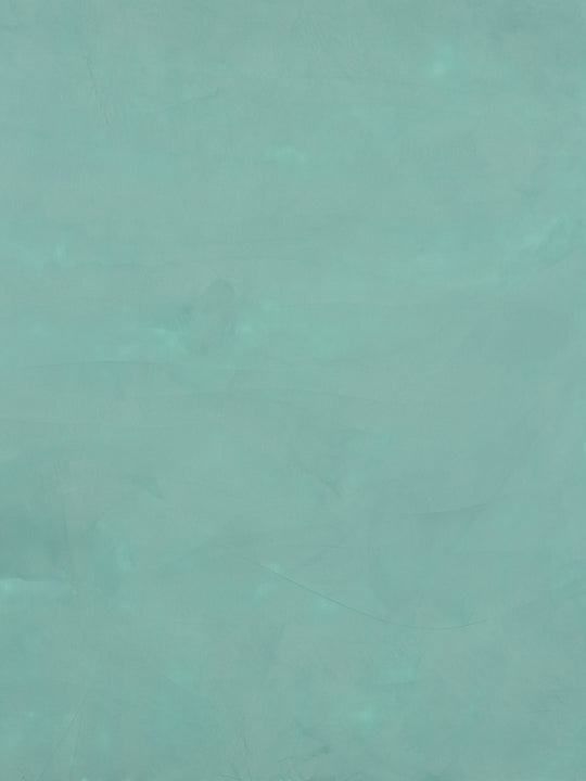 S033