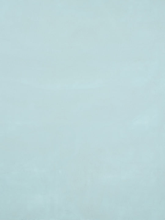 S036